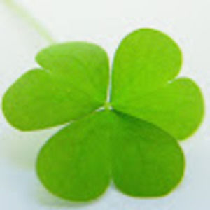 Meet your Posher, Darren